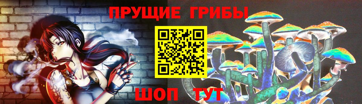 купить наркотик  Псилоцибиновые грибы ЛСД  Вход с VPN  Зеленогорск 