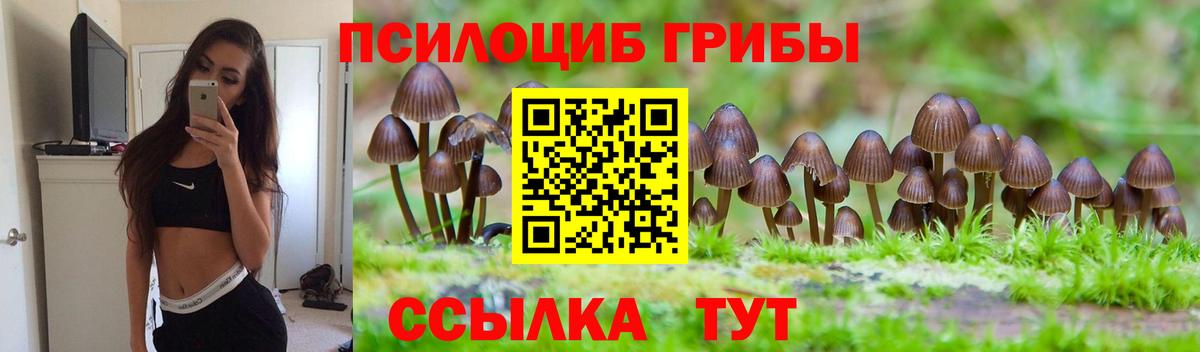Псилоцибиновые грибы Magic Shrooms Зеленогорск