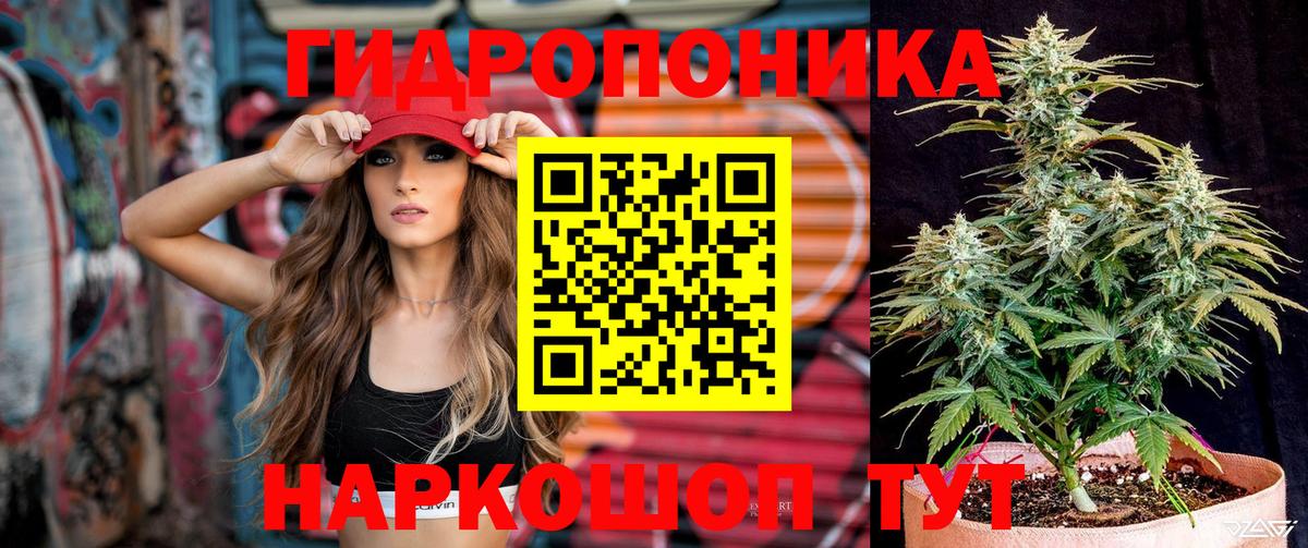 Зеленогорск  COCAIN  Вход с VPN  ГАШ  ЭКСТАЗИ  Бошки Шишки  МЕФ кристаллы 